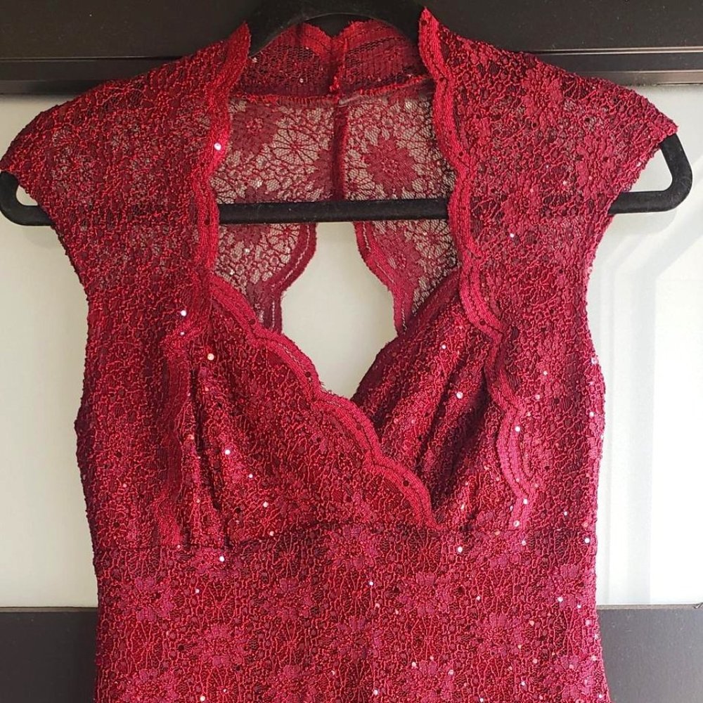 Roz & Ali Elegant Sleeveless Dress - Burgandy - Petite 4